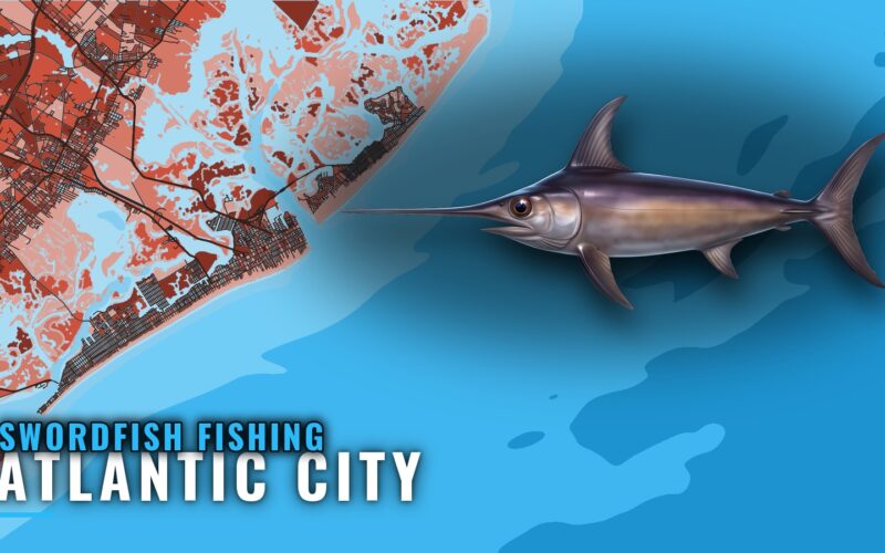 Swordfish Fishing Out of Atlantic City: Depth, Bait, Marks