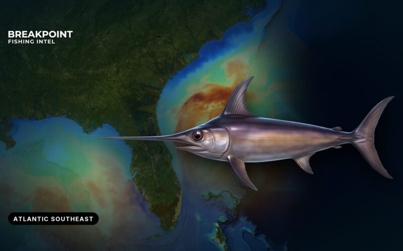 Swordfish Fishing in the Atlantic Southeast: Water and Rules