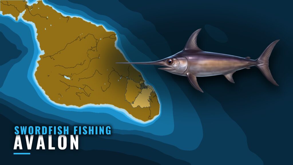 Swordfish Fishing Out of Avalon: Season, Grounds, History