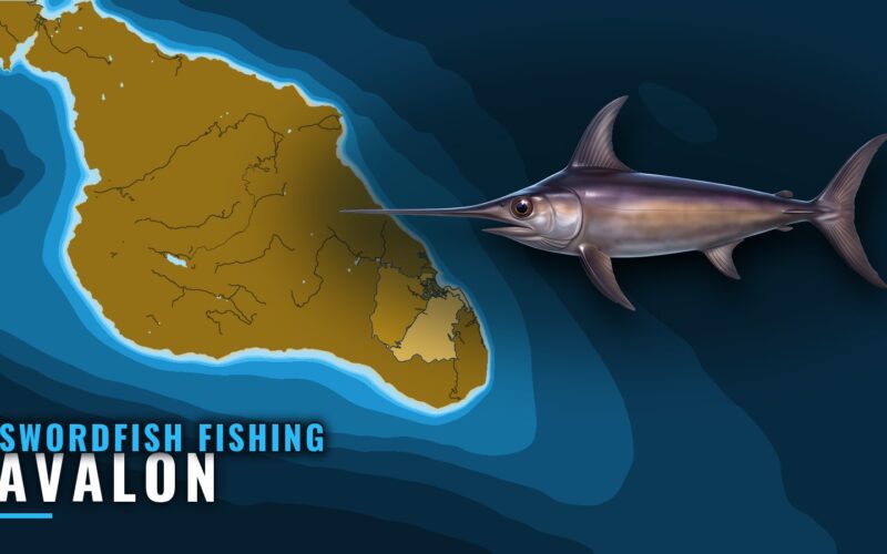 Swordfish Fishing Out of Avalon: Season, Grounds, History