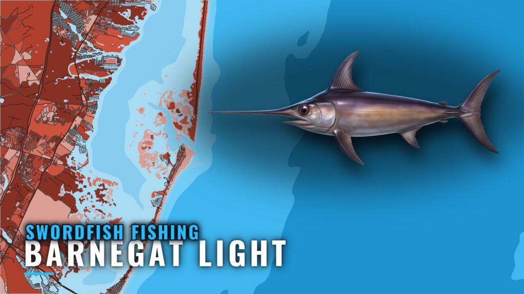 Swordfish Fishing Out of Barnegat Light: Night and Day
