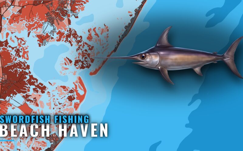 Swordfish Fishing Out of Beach Haven: Season, Canyon, Boats