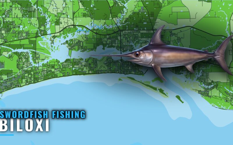 Swordfish Fishing Out of Biloxi: Season, Depth, Grounds