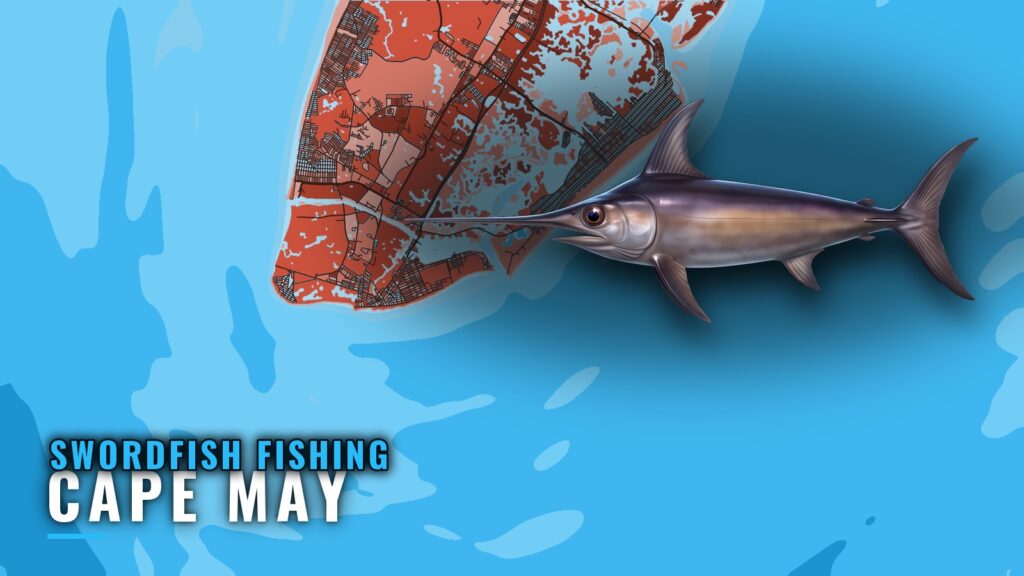 Swordfish Fishing Out of Cape May: Canyons, Depths, Rigs