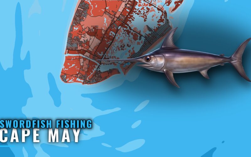 Swordfish Fishing Out of Cape May: Canyons, Depths, Rigs
