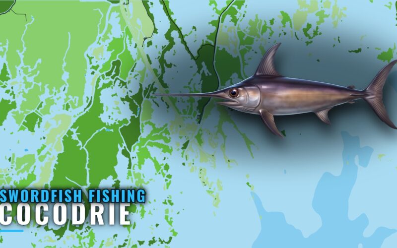 Swordfish Fishing Out of Cocodrie: Depth, Grounds, Charters
