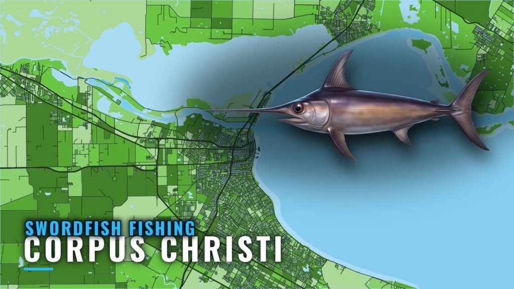 Swordfish Fishing Out of Corpus Christi: Grounds and Runs