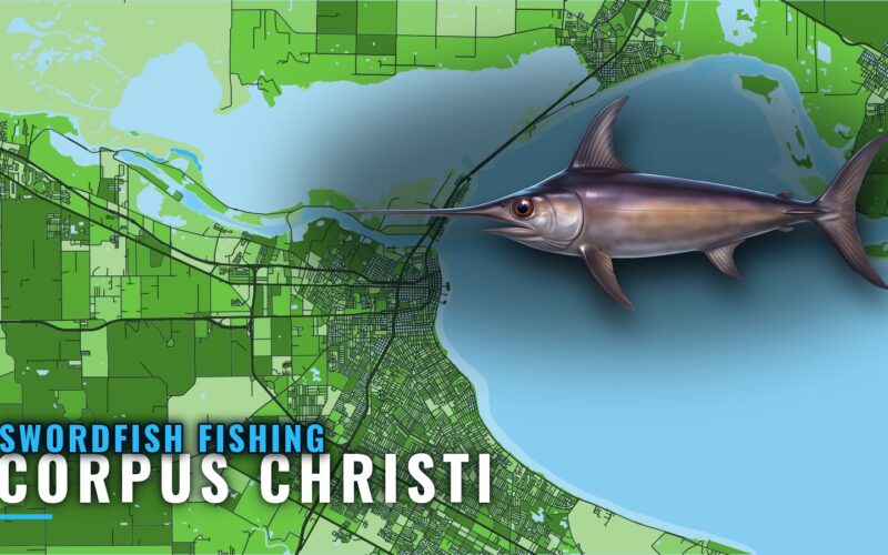 Swordfish Fishing Out of Corpus Christi: Grounds and Runs