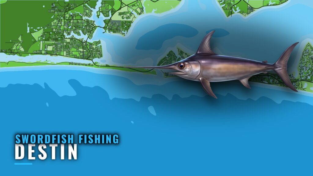 Swordfish Fishing Out of Destin: Runs, Wrecks and Bearings