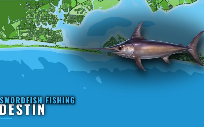 Swordfish Fishing Out of Destin: Runs, Wrecks and Bearings