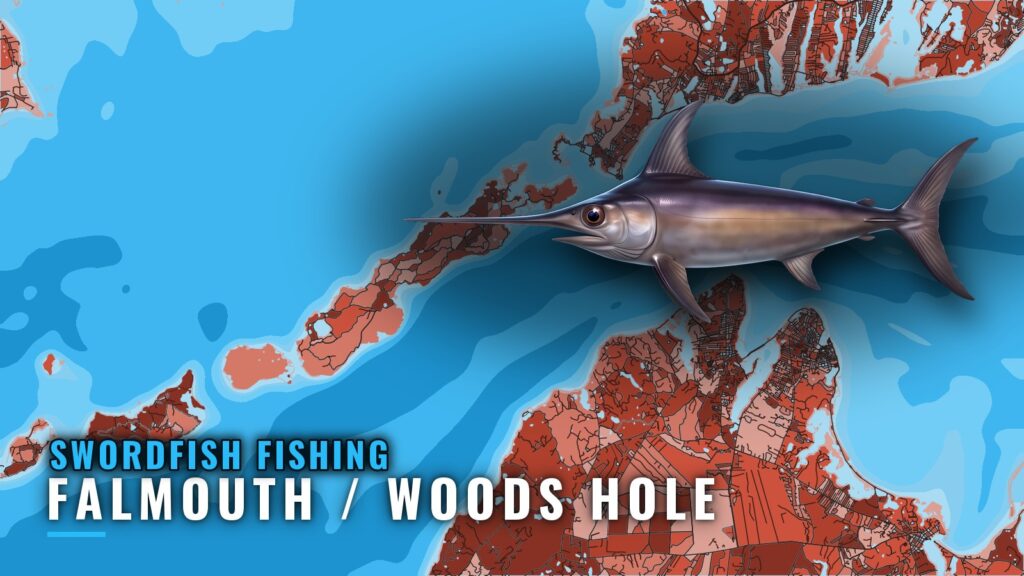 Swordfish Fishing out of Falmouth / Woods Hole: The Canyons
