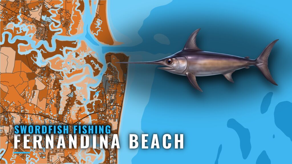Swordfish Fishing out of Fernandina Beach: Run and Method
