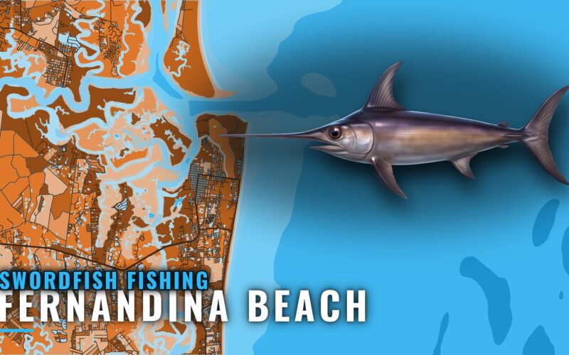 Swordfish Fishing out of Fernandina Beach: Run and Method