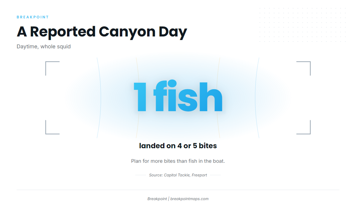 What a reported day looked like