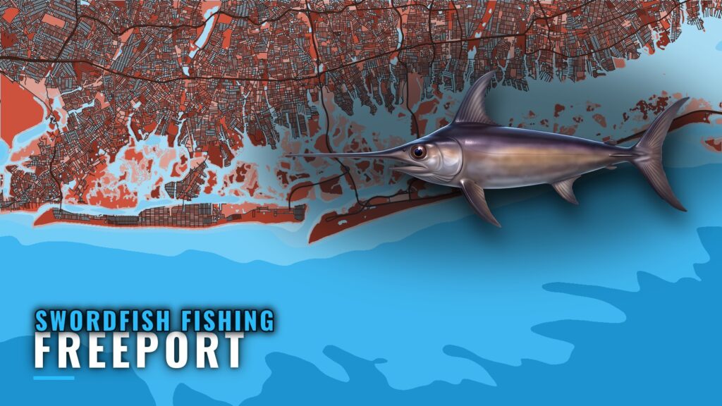 Swordfish Fishing Out of Freeport: Canyon, Bait, Charters