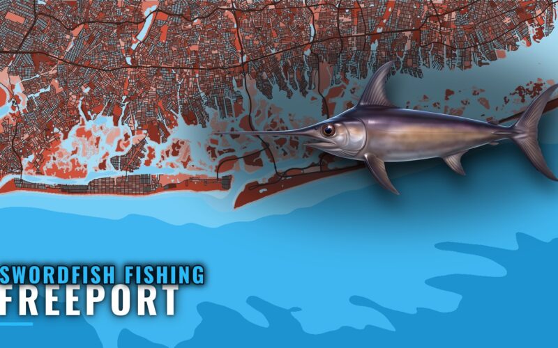 Swordfish Fishing Out of Freeport: Canyon, Bait, Charters
