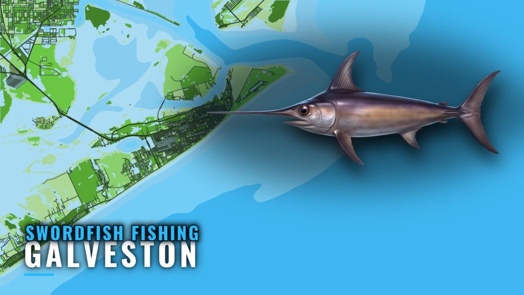 Swordfish Fishing Out of Galveston: Run, Depth, Charters