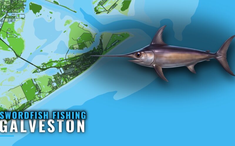 Swordfish Fishing Out of Galveston: Run, Depth, Charters