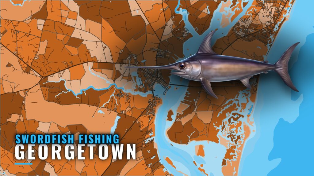 Swordfish Fishing Out of Georgetown, SC: June Deep Drops
