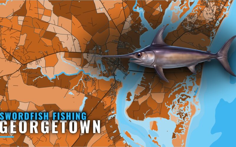 Swordfish Fishing Out of Georgetown, SC: June Deep Drops
