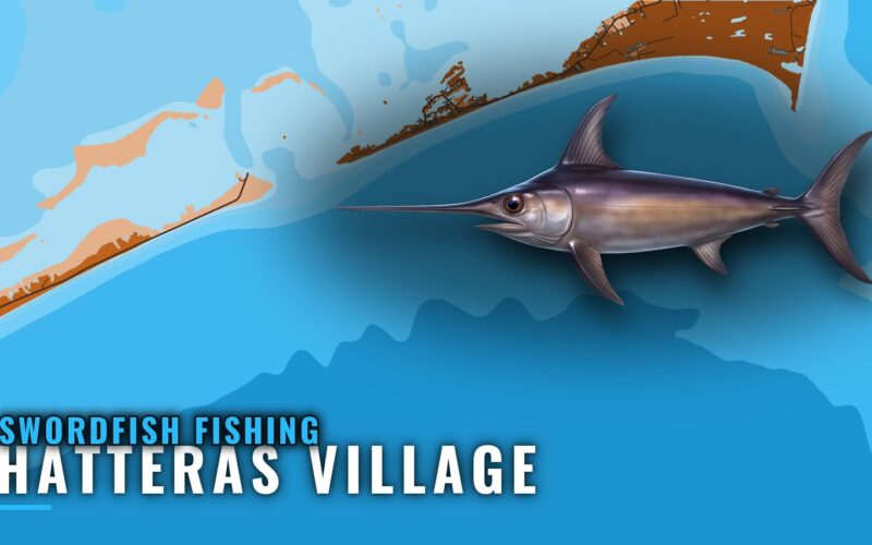Swordfish Fishing out of Hatteras Village: Grounds and Run