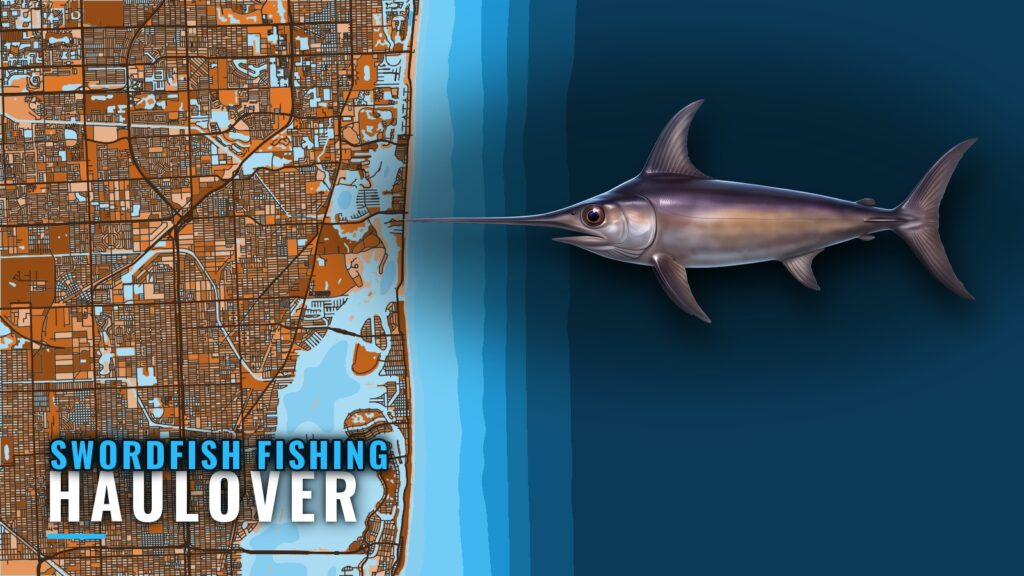 Swordfish Fishing Out of Haulover: Charters and Marks