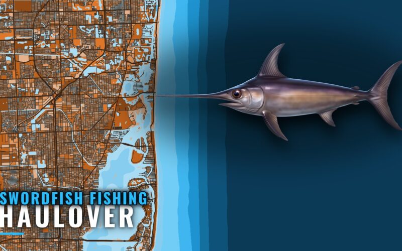 Swordfish Fishing Out of Haulover: Charters and Marks
