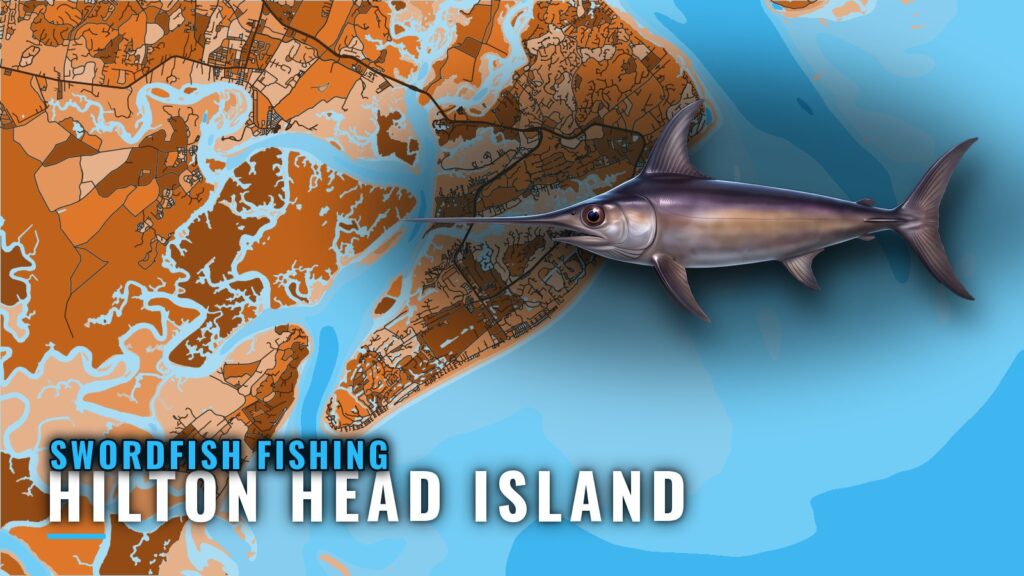 Swordfish Fishing Out of Hilton Head Island: Port Briefing