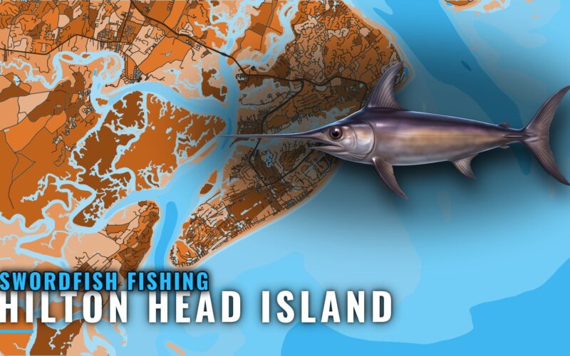 Swordfish Fishing Out of Hilton Head Island: Port Briefing