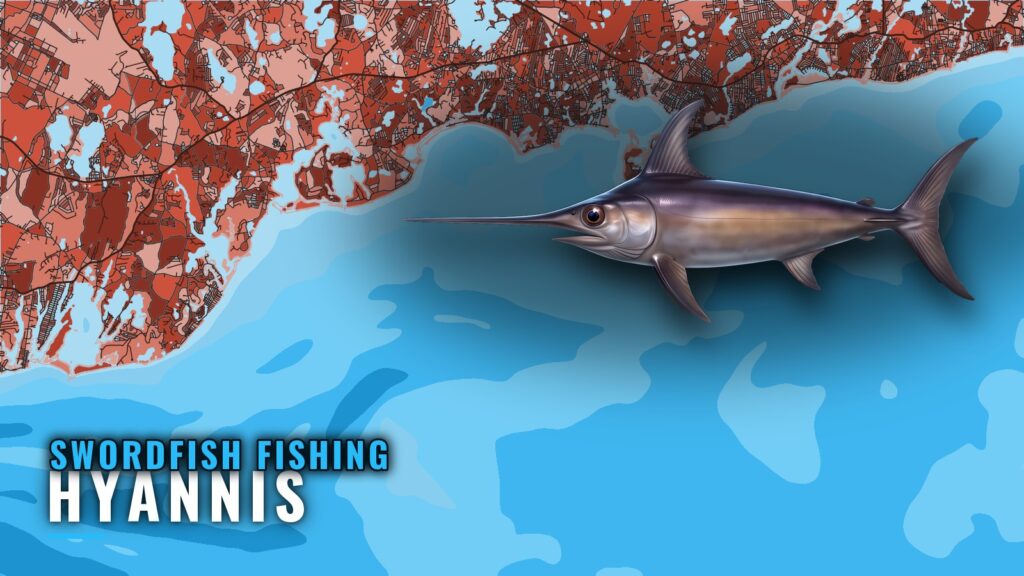 Swordfish Fishing Out of Hyannis: Grounds, Trips, Buoy