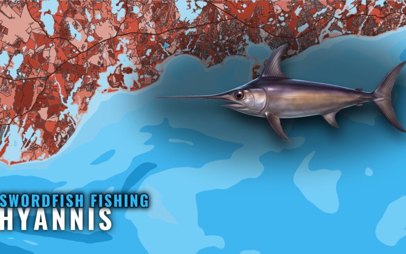 Swordfish Fishing Out of Hyannis: Grounds, Trips, Buoy