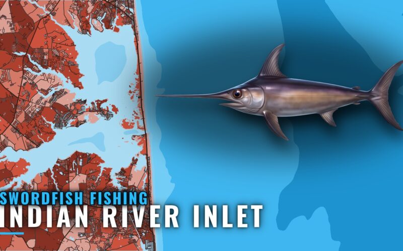 Swordfish Fishing out of Indian River Inlet: Run Sheet