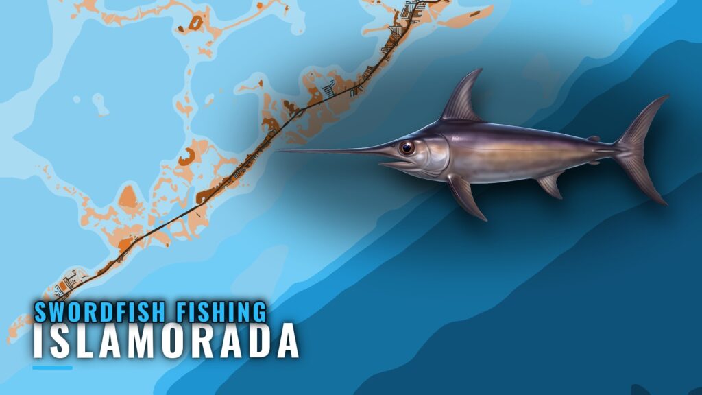 Swordfish Fishing Out of Islamorada: Runs, Depths, Season