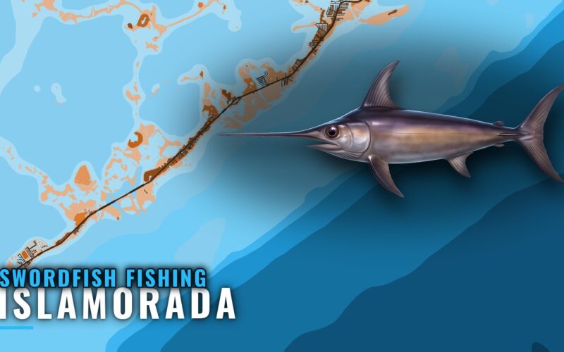 Swordfish Fishing Out of Islamorada: Runs, Depths, Season