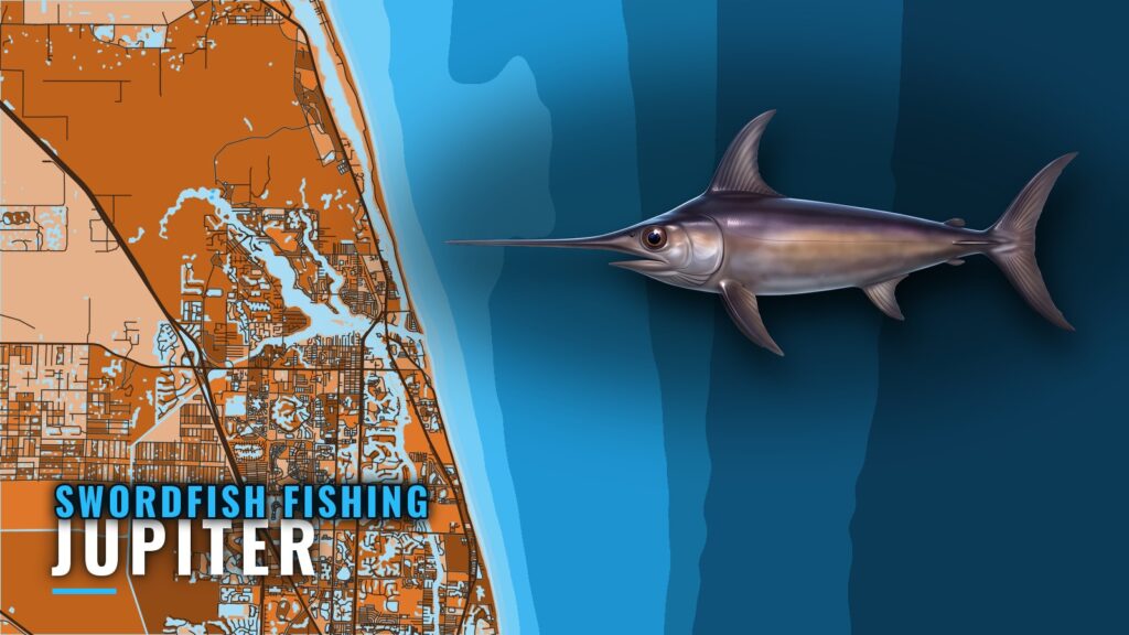 Swordfish Fishing out of Jupiter: Depths, Runs and Methods