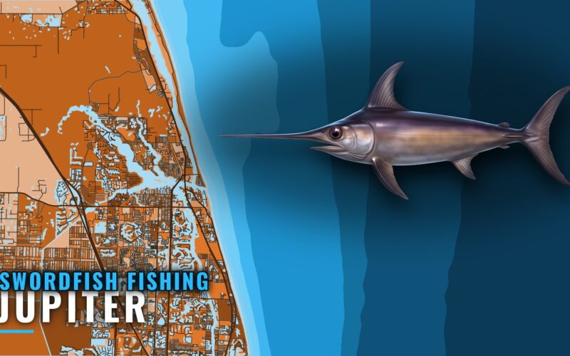 Swordfish Fishing out of Jupiter: Depths, Runs and Methods