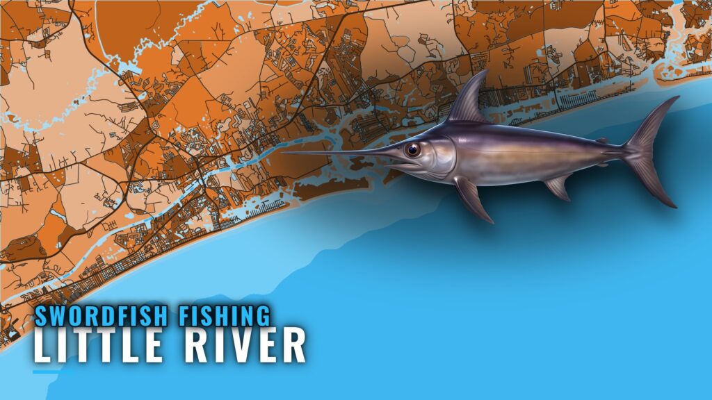 Swordfish Fishing Out of Little River: What to Expect