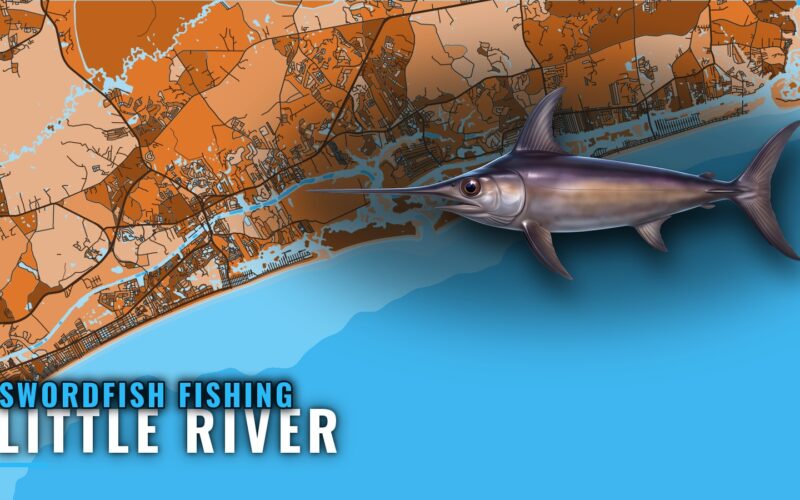 Swordfish Fishing Out of Little River: What to Expect