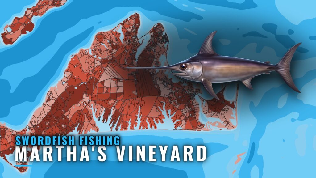 Swordfish Fishing Out of Martha’s Vineyard: Port Briefing