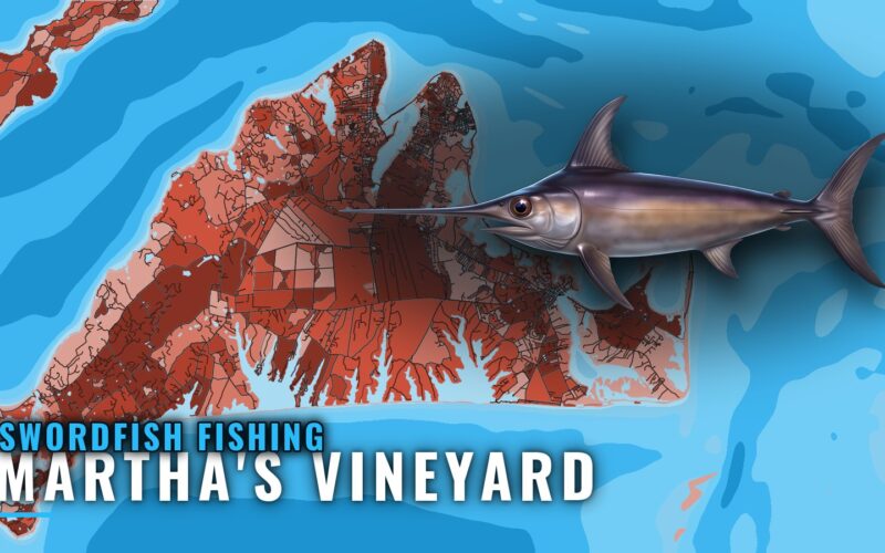 Swordfish Fishing Out of Martha’s Vineyard: Port Briefing