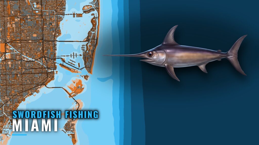 Swordfish Fishing Out of Miami: Season, Grounds, Runs