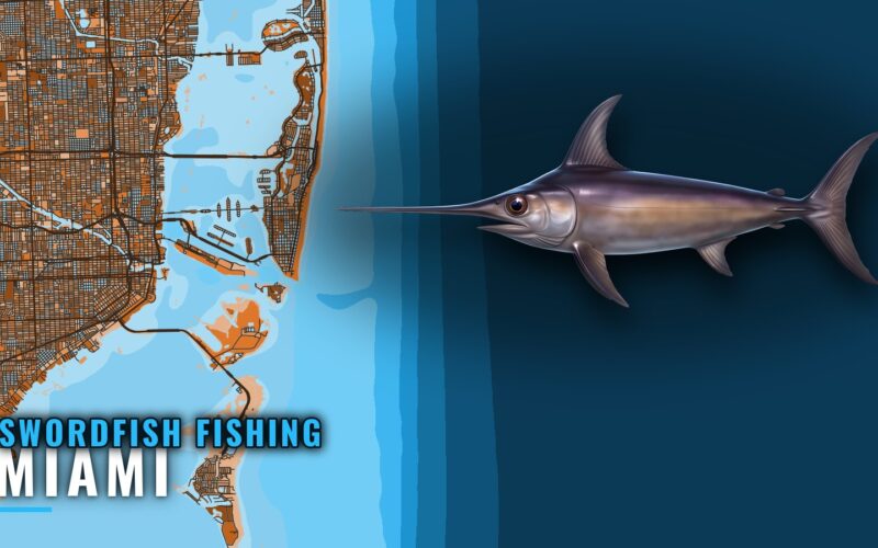 Swordfish Fishing Out of Miami: Season, Grounds, Runs