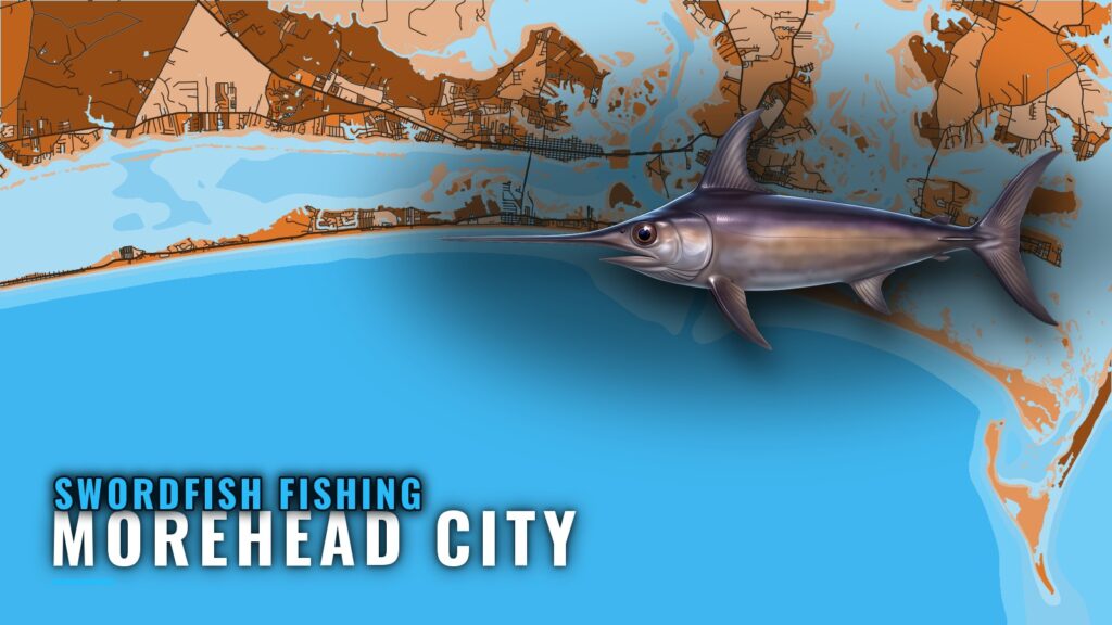 Swordfish Fishing out of Morehead City: Grounds and Method