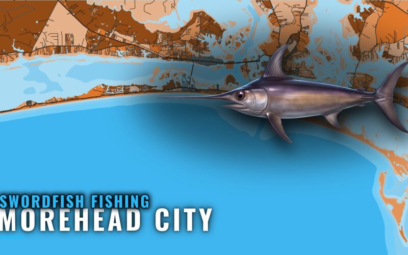 Swordfish Fishing out of Morehead City: Grounds and Method