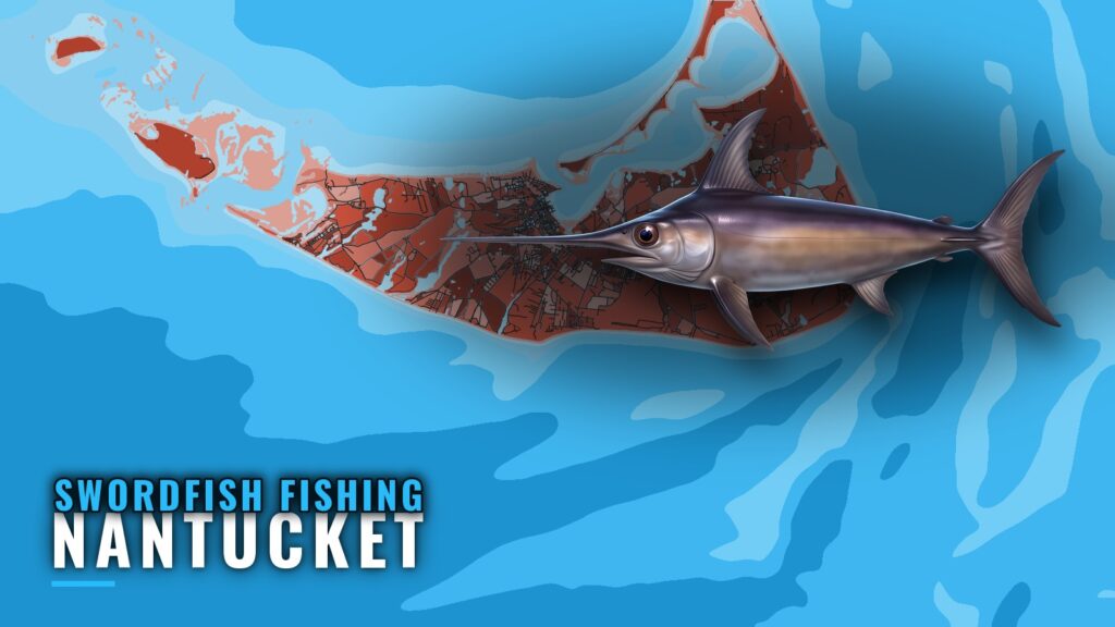 Swordfish Fishing Out of Nantucket: Run, Season and Method