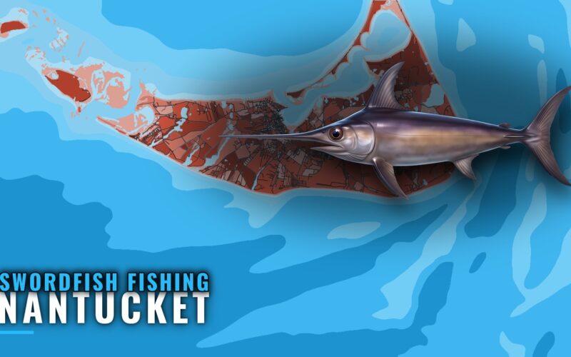 Swordfish Fishing Out of Nantucket: Run, Season and Method