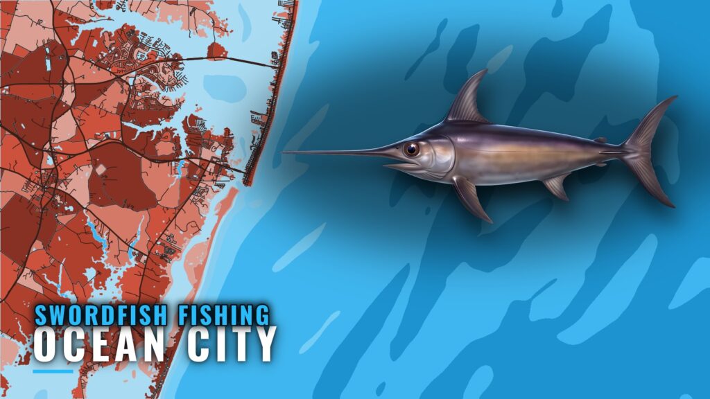 Swordfish Fishing Out of Ocean City, Maryland
