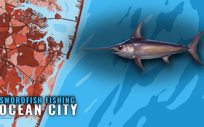 Swordfish Fishing Out of Ocean City, Maryland