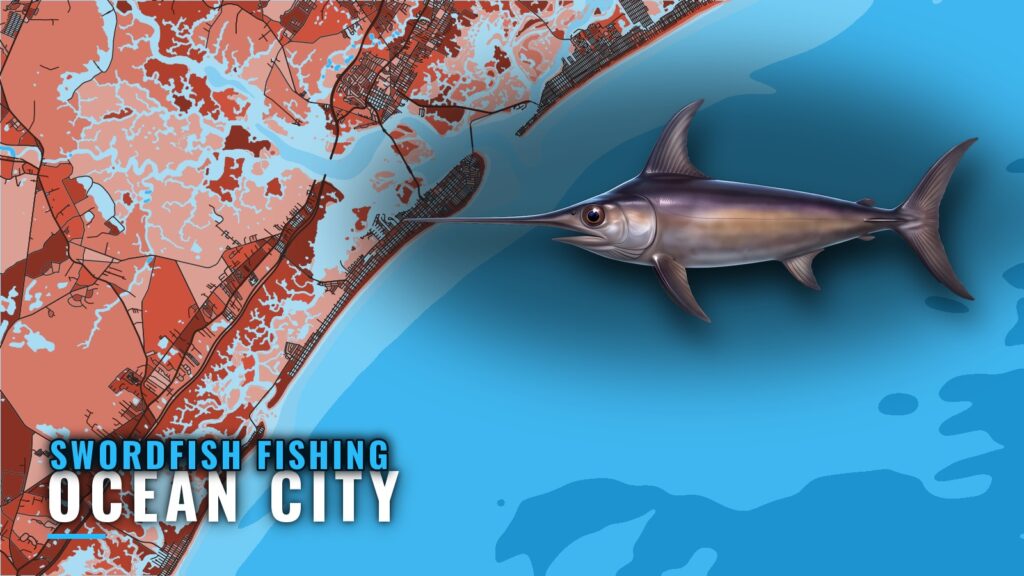 Swordfish Fishing Out of Ocean City, NJ: Season and Run