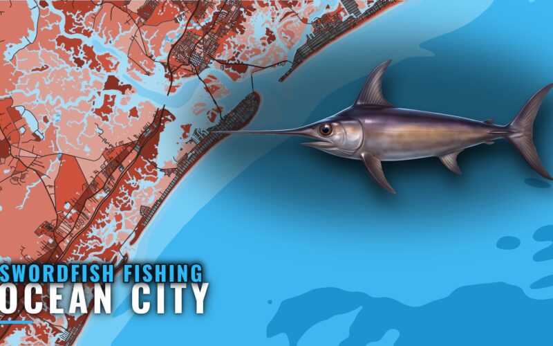 Swordfish Fishing Out of Ocean City, NJ: Season and Run